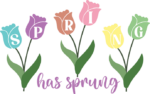Spring has sprung free svg file for members, roses, floral tshirt design for her