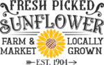 Fresh picked sunflower farm and market free svg file for members, locally grown, farmhouse sign