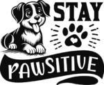 Stay pawsitive free svg file for members, funny tshirt design for pet lovers
